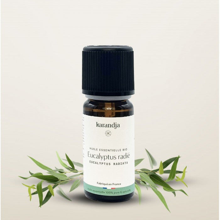 Huile essentielle bio d'Eucalyptus radié