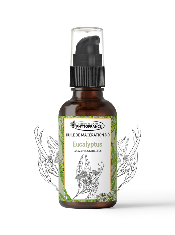 Eucalyptus bio - Huile de fleurs - 50 ml - PhytoFrance
