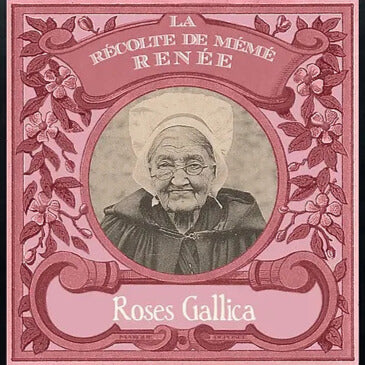 Infusion de roses Mémé Renée Sachets