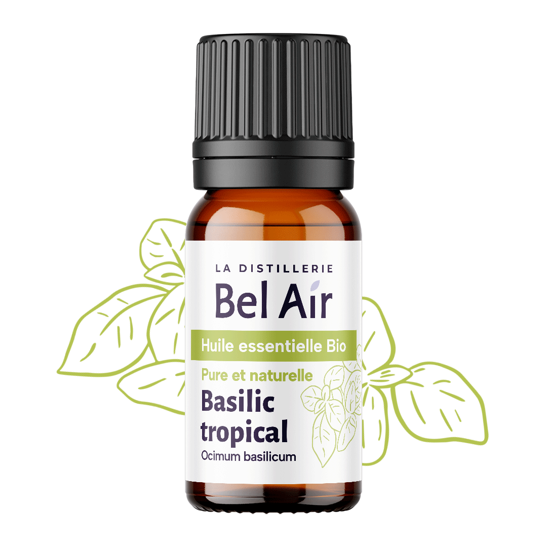 Baslic tropical bio - 10 ml - Bel Air