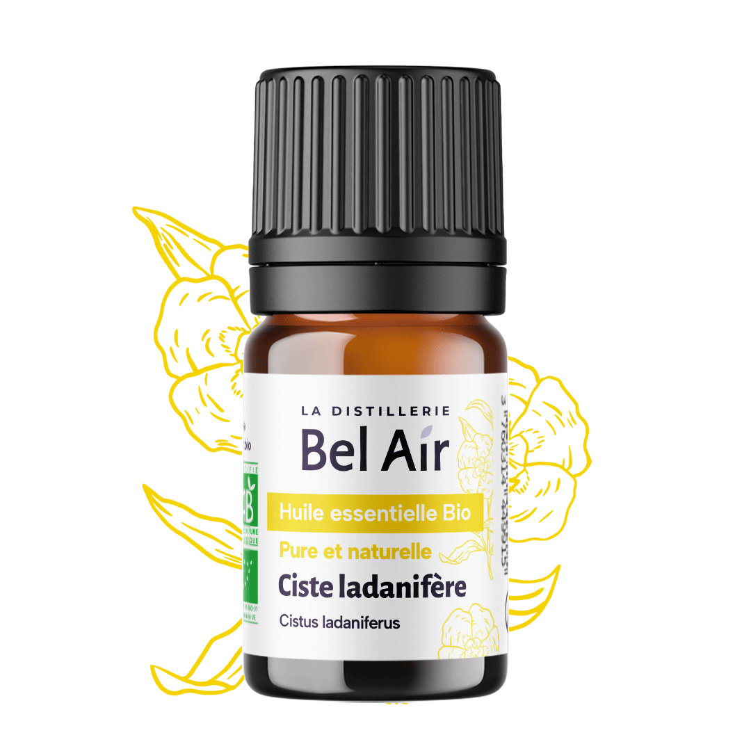 Ciste Ladanifère bio - 10 ml - Bel Air