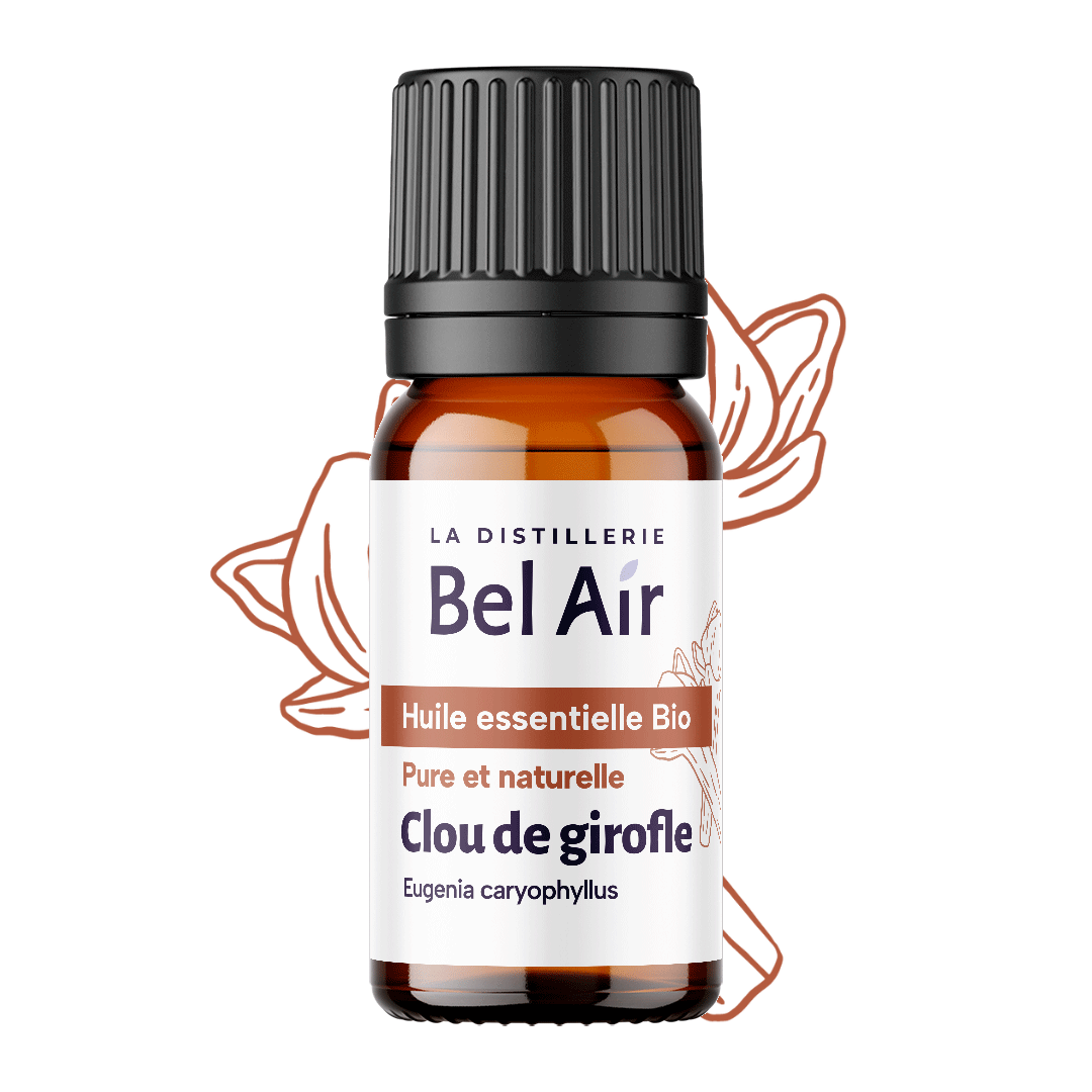 Clou de girofle bio - 10 ml - Bel-Air