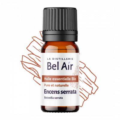 Encens Serrata bio - 10 ml - Bel Air