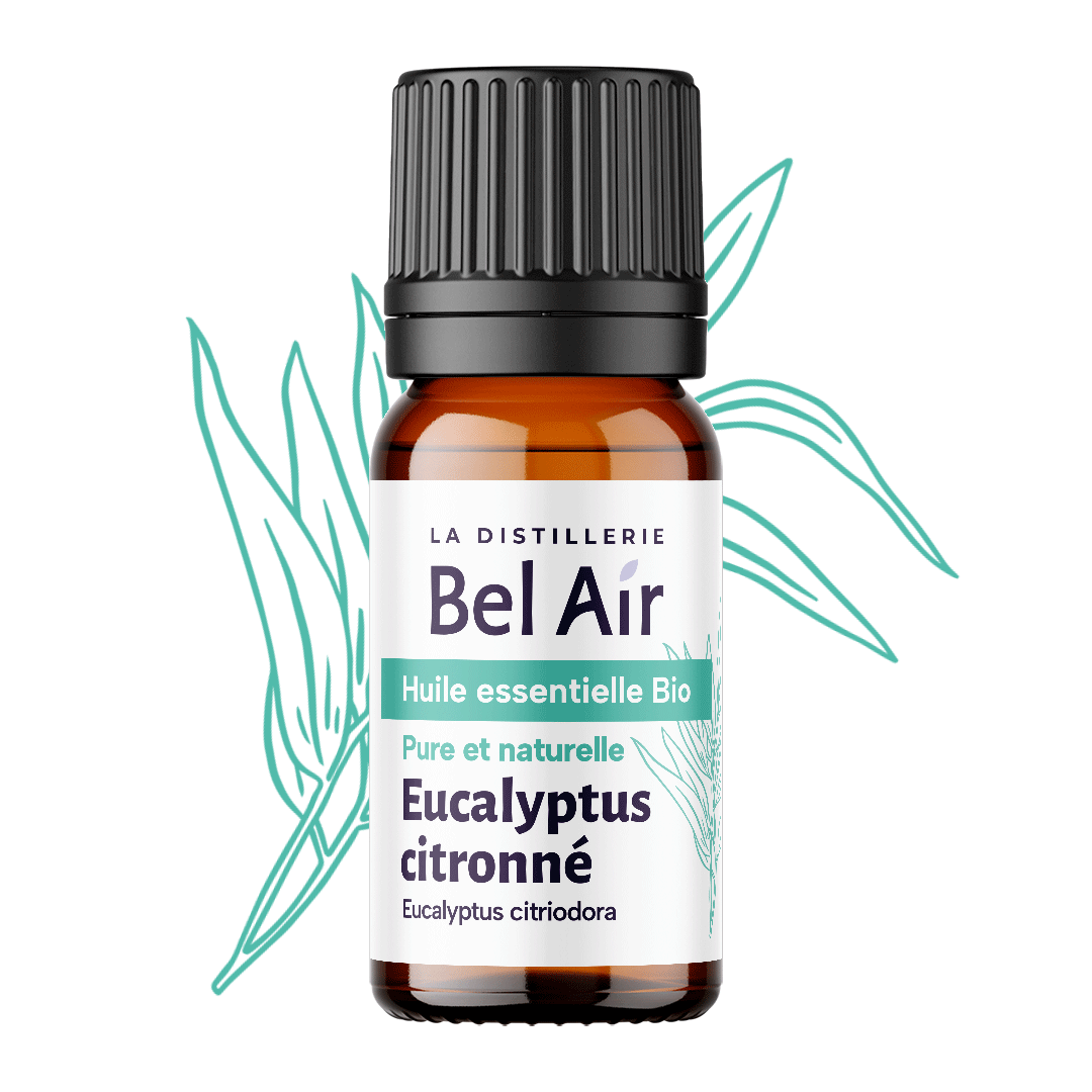 Eucalyptus citronné - 10 ml - Bel Air