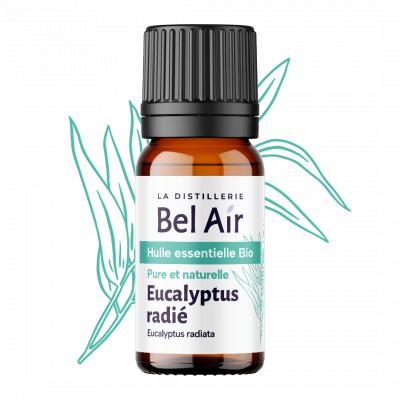 Eucalyptus radié - 10 ml - Bel Air