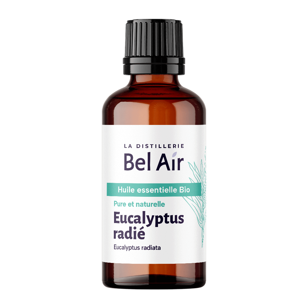 Eucalyptus radié - 50 ml - Bel Air