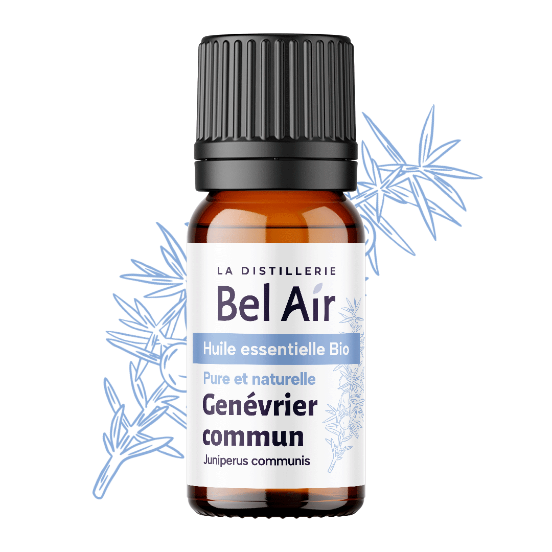 Genévrier commun - 10 ml - Bel Air