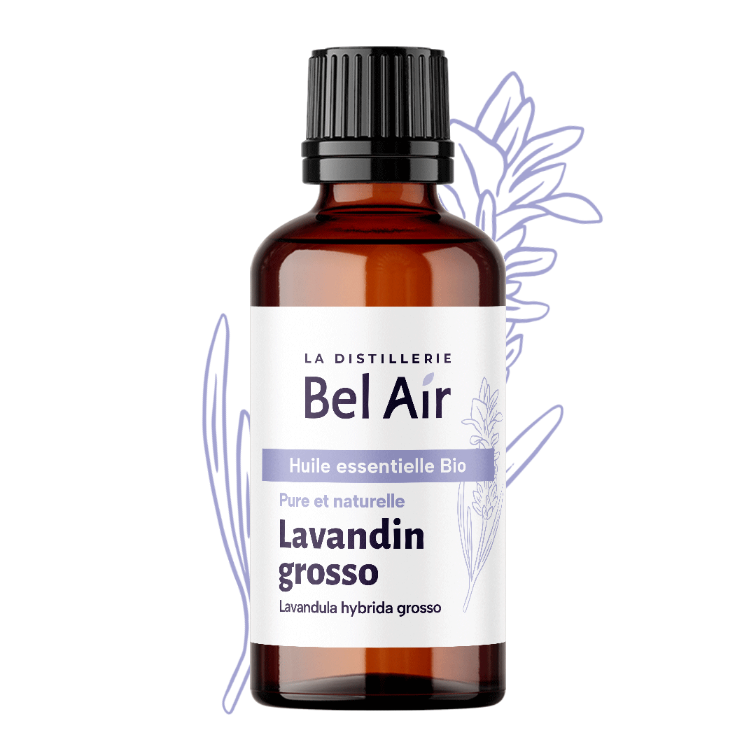 Lavandin grosso bio - 50 ml - Bel Air