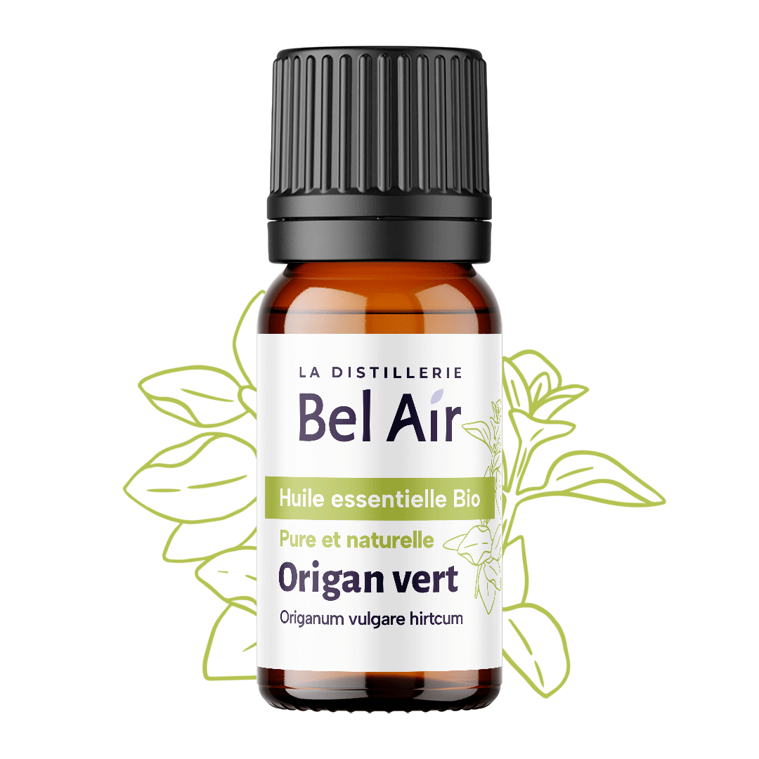 Origan vert bio - 10 ml - Bel Air