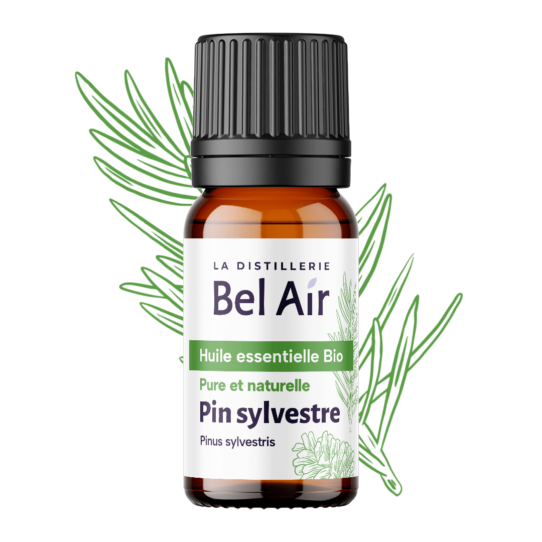 Pin sylvestre bio - 10 ml - Bel Air