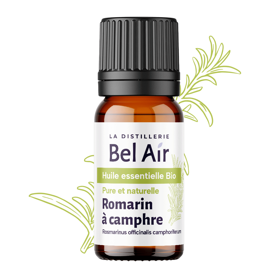 Romarin camphré bio - 10 ml - Bel Air