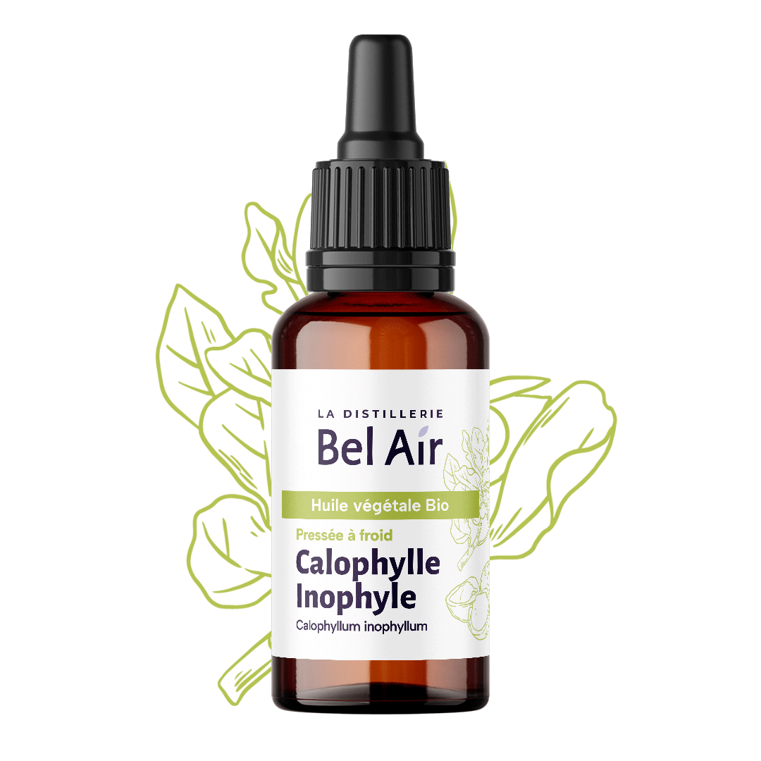 Calophylle bio - 50 ml - Bel Air