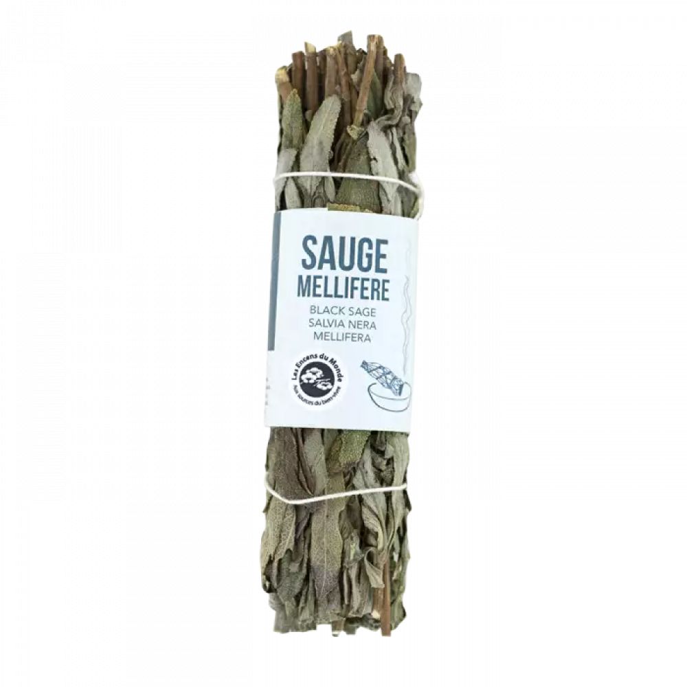 Tresse de sauge noire méllifère - 11 cm - Aromandise