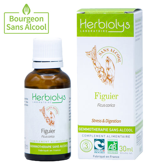 Figuier bio - 30 ml - Herbiolys