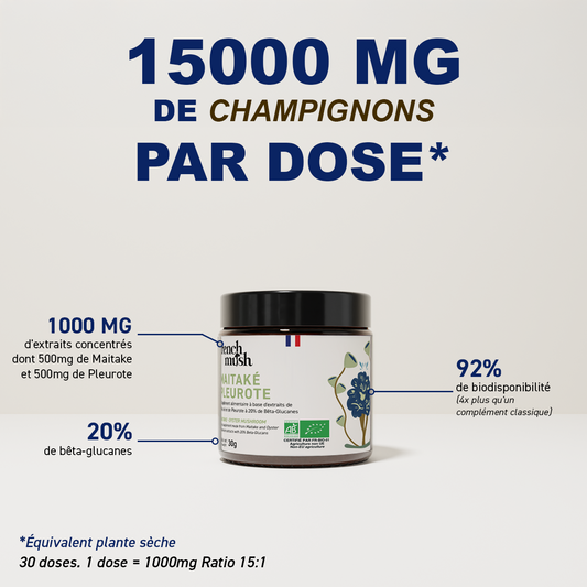 Maitaké-Pleurote bio - 30 gr poudre - French Much