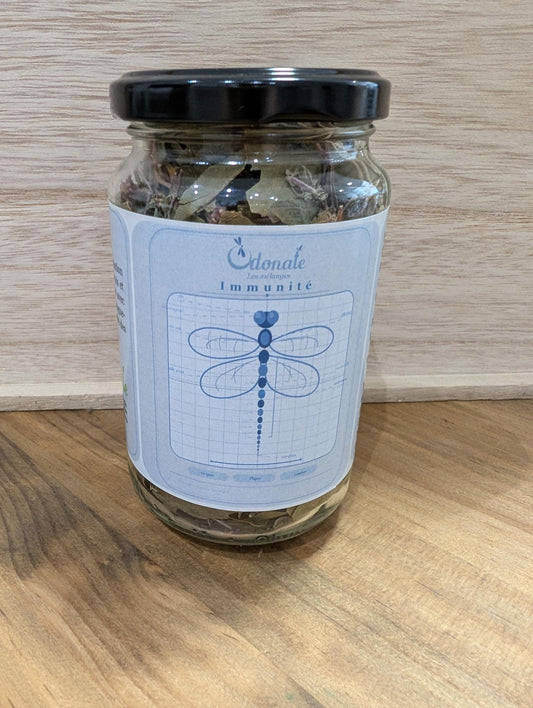 Immunité Infusion en pot Odonate