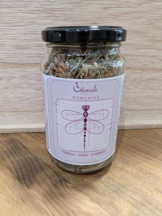 Féminité infusion en pot Odonate