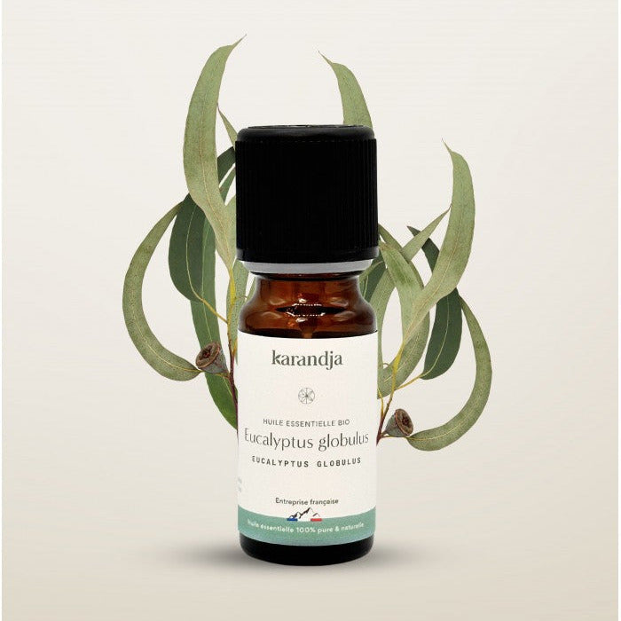 Huile essentielle bio d'Eucalyptus globulus