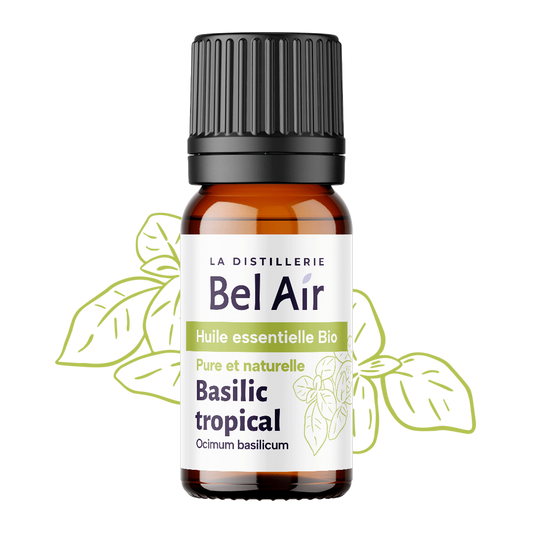 Baslic tropical bio - 10 ml - Bel Air