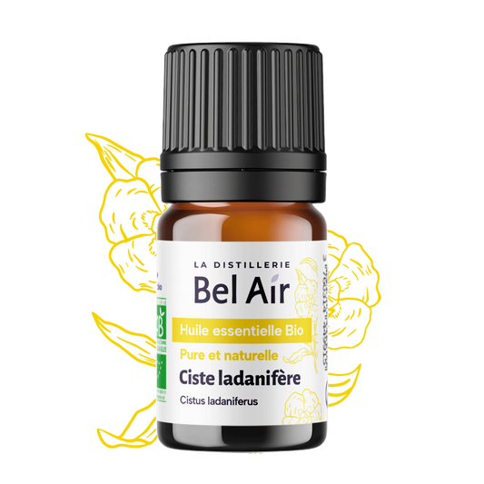 Ciste Ladanifère bio - 10 ml - Bel Air