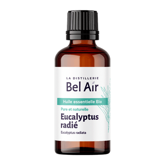 Eucalyptus radié - 50 ml - Bel Air