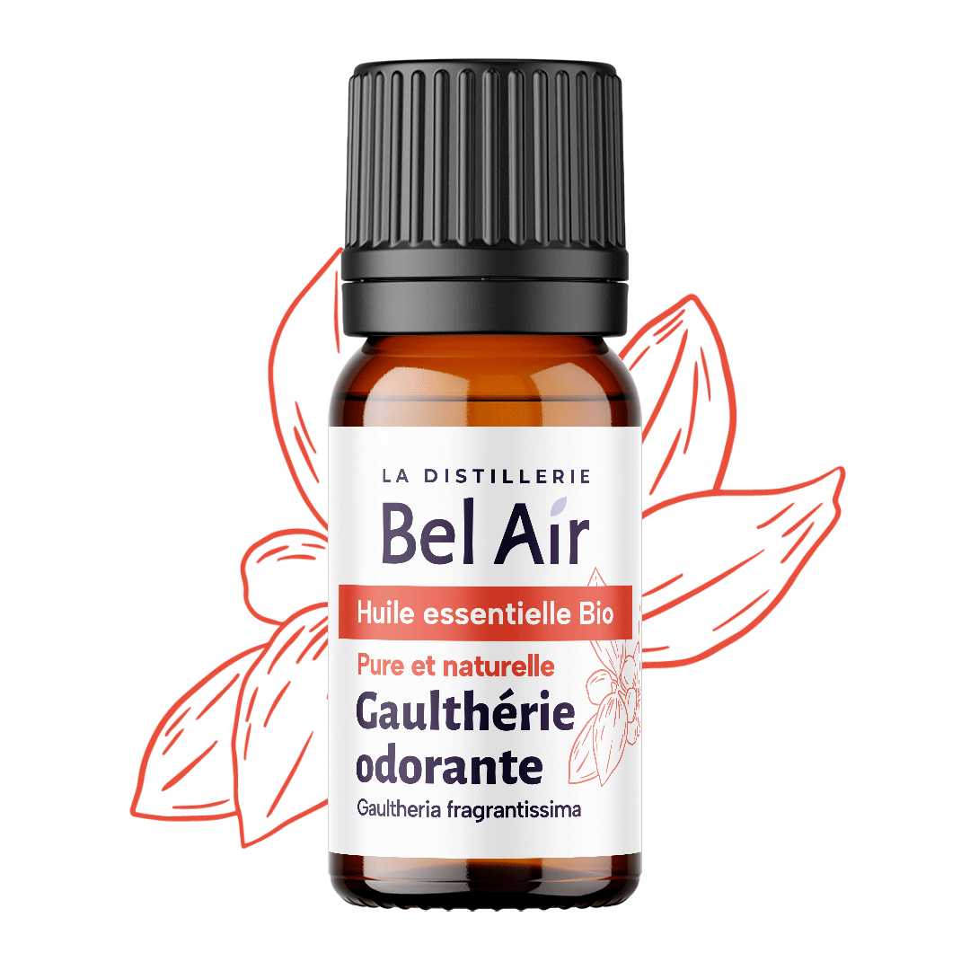 Gaulthérie odorante bio - 10 ml - Bel Air