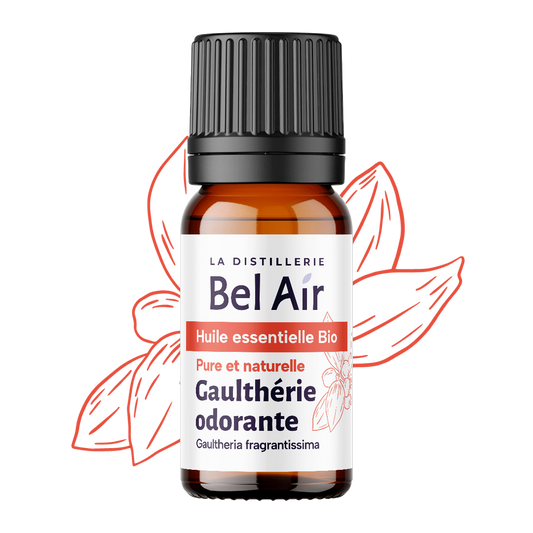 Gaulthérie odorante bio - 10 ml - Bel Air