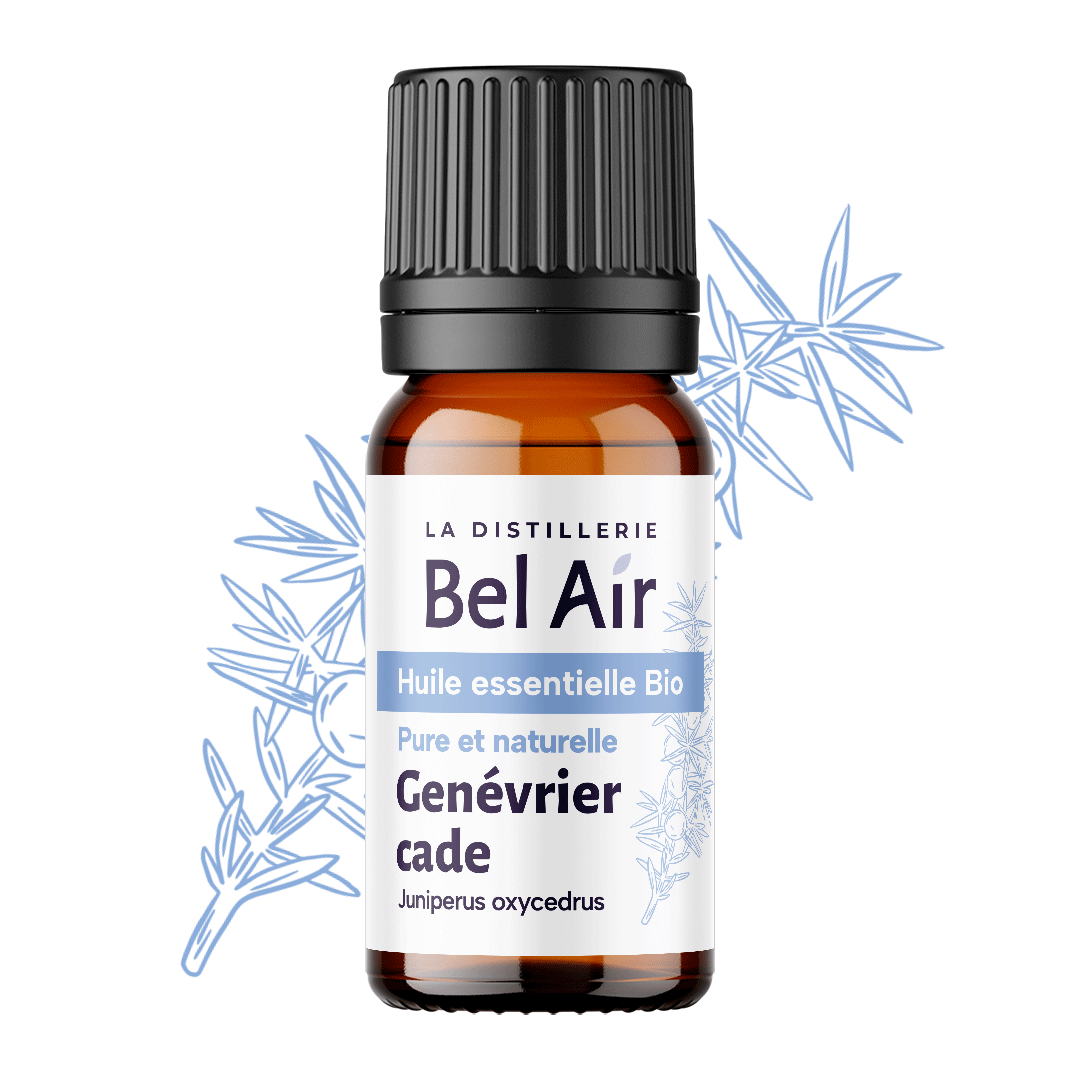 Genévrier cade bio - 10 ml - Bel Air