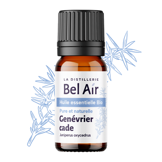 Genévrier cade bio - 10 ml - Bel Air