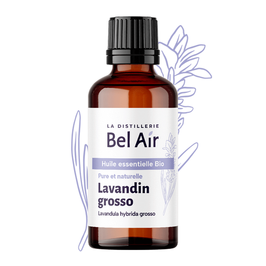 Lavandin grosso bio - 50 ml - Bel Air