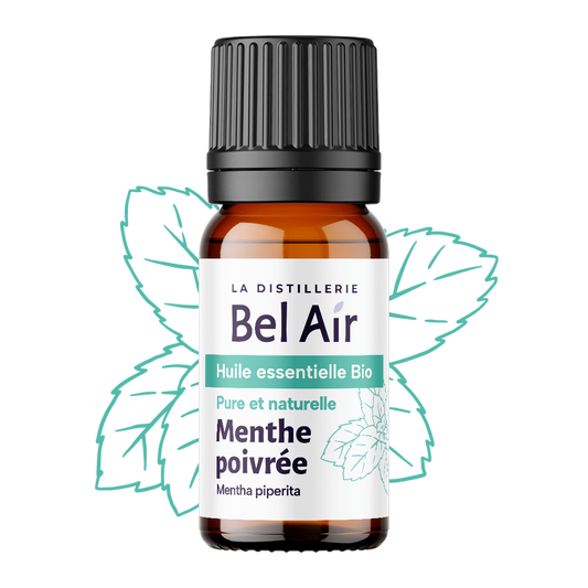 Menthe poivrée bio - 10 ml - Bel Air