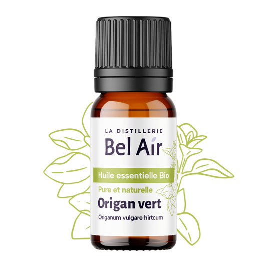 Origan vert bio - 10 ml - Bel Air