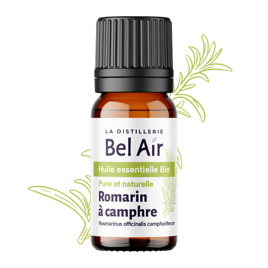 Romarin camphré bio - 10 ml - Bel Air