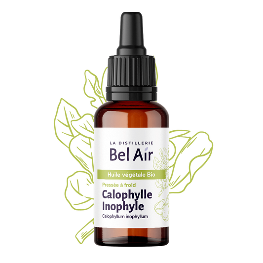 Calophylle bio - 50 ml - Bel Air
