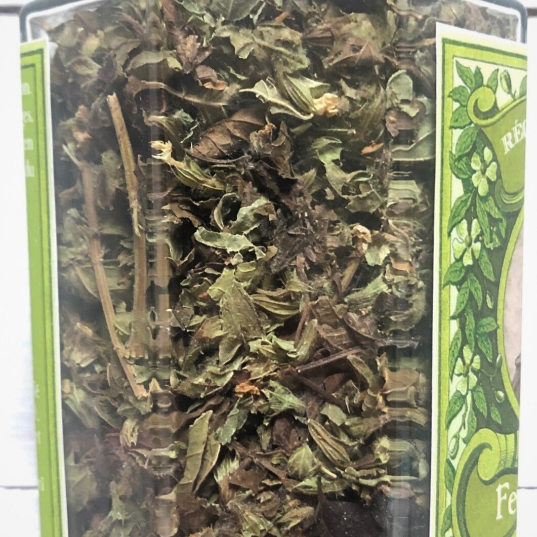 Zoom Infusion de feuilles de mélisse Mémé Renée